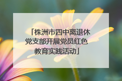 株洲市四中离退休党支部开展党员红色教育实践活动